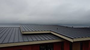 Best Sheet Metal Roofing  in Waterville, NY